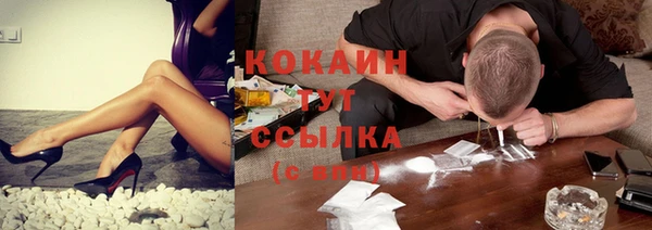бошки Покачи