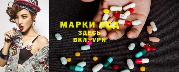 прущая мука Галич