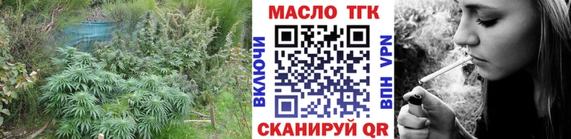 что такое Стрежевой ТГК гашишное масло
