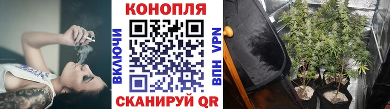 Конопля тримм Стрежевой
